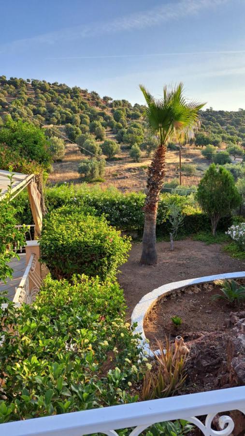 Βlueview Vila Ermioni Exterior foto