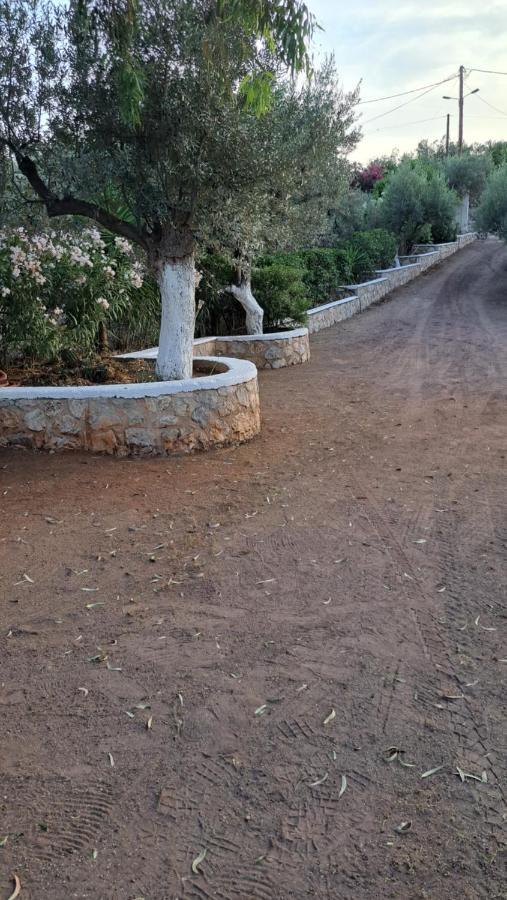 Βlueview Vila Ermioni Exterior foto