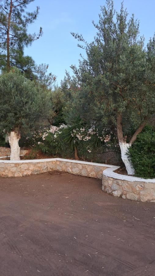Βlueview Vila Ermioni Exterior foto